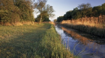 Lowest point in the UK - Holme Fen Lowest point in the UK - Holme Fen